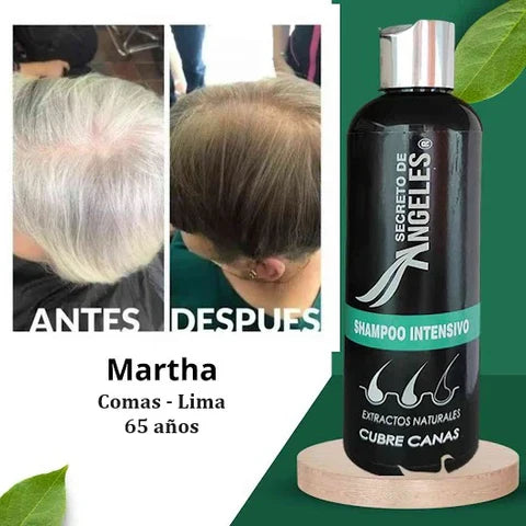 Shampoo Anti-Canas- HOY ULTIMAS 20 UNIDADES HASTA LIQUIDAR STOCK